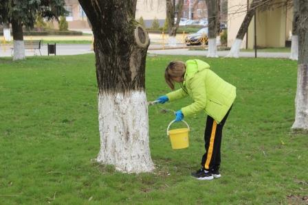 В Тбилисской состоялся субботник