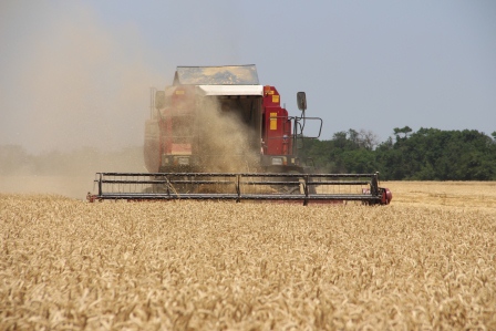 Евгений Ильин ознакомился с ходом уборки пшеницы