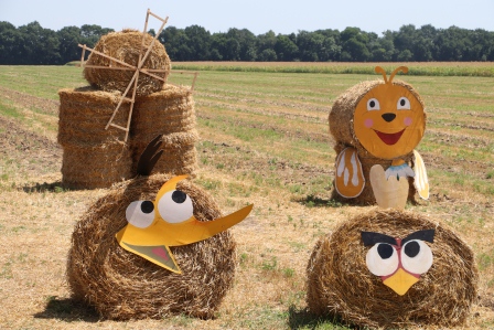 Пирамиды появились в Тбилисской