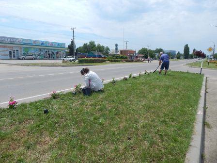В Тбилисской косят траву и высаживают цветы