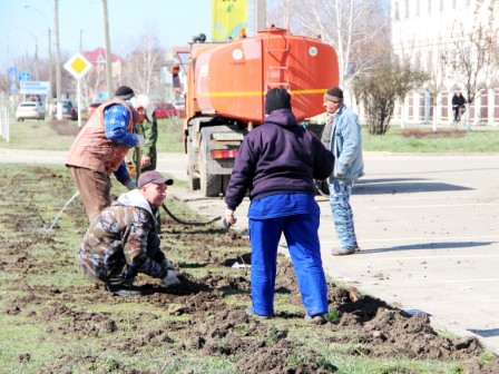 В Тбилисской высадили 150 роз
