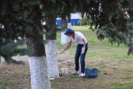 В Тбилисской прошел субботник
