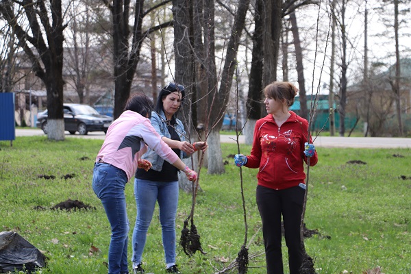 Сады Памяти высадили в двух станицах Тбилисского района