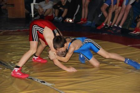 Соревнования по вольной борьбе