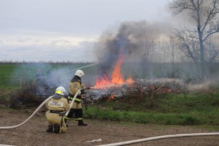 В Тбилисском районе прошло учение по тушению ландшафтного пожара