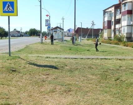 Наведение порядка на придорожных территориях