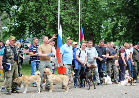 В Тбилисской прошла выставка собак охотничьих пород