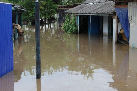 В Тбилисском районе затопило 4 дома