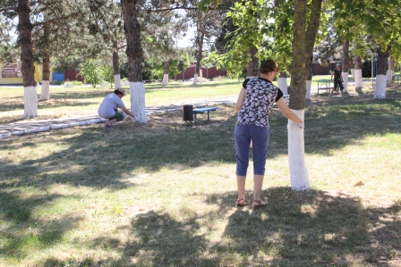 В Тбилисской прошел большой субботник