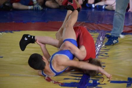 Открытое первенство по вольной борьбе прошло в Тбилисском районе