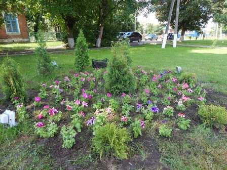 В Тбилисской по улице Красной высадили цветы