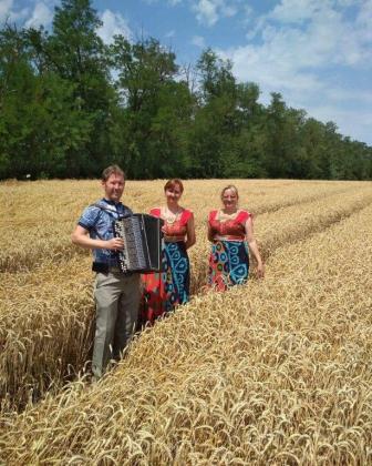 Артисты выступают на полях