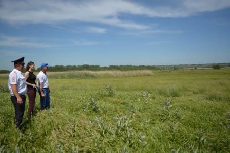 В Ванновском поселении осуществляет свою работу комиссия по мониторингу произрастания наркосодержащей растительности