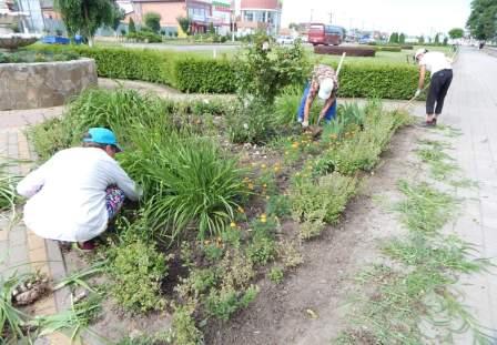 В станице Тбилисской