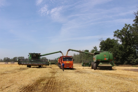 В Тбилисском районе начали убирать озимый ячмень