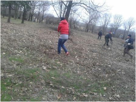 В парке станицы Ловлинской навели порядок