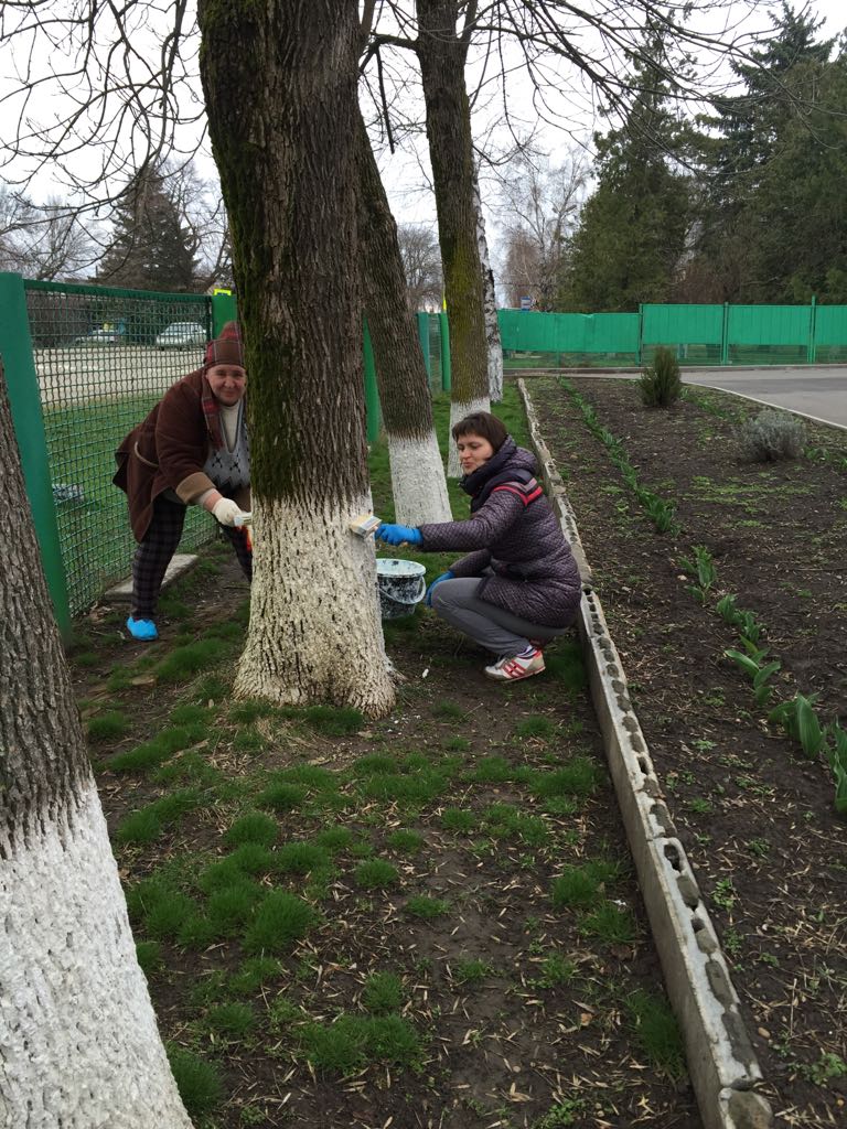 1000 тбилисцев приняли участие во Всекубанском субботнике