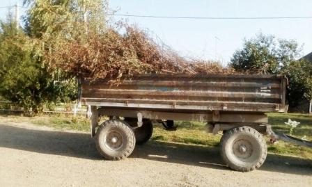 В хуторе Северин прошел субботник