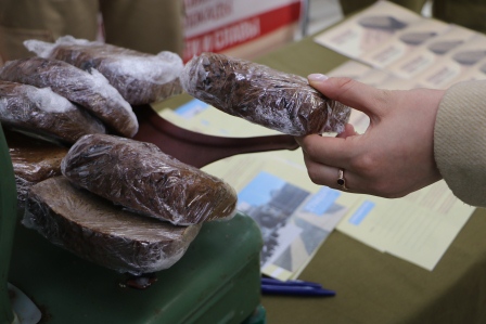 Тбилисский район присоединился к всероссийской акции «Блокадный хлеб»