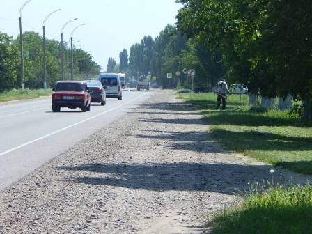 Борьба с сорной растительностью продолжается