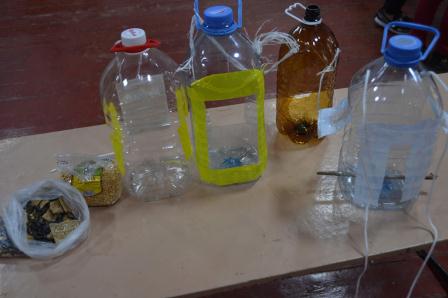 В Тбилисской прошла акция «Накормите птиц»