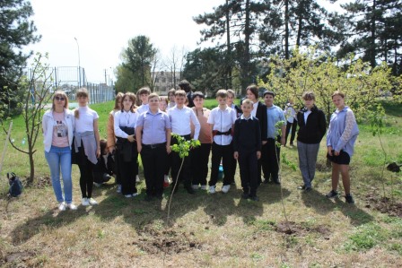 В Тбилисском районе проходит Всероссийская акция «Сад Памяти»