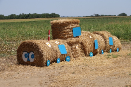 Пирамиды появились в Тбилисской