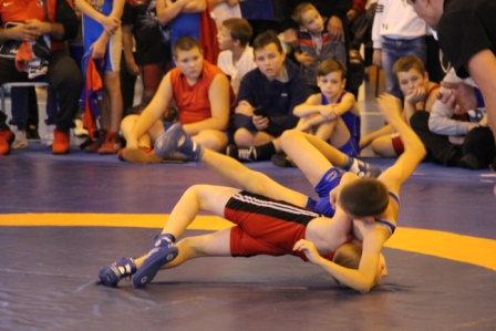 В Первенстве Тбилисского района по греко-римской борьбе принимает участие Олимпийский чемпион