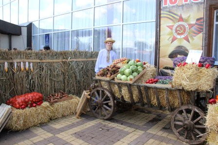 150 новых рабочих мест появится в Тбилисском районе