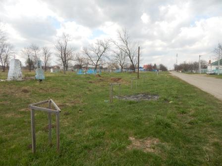 В Тбилисской высадили аллею молодых деревьев