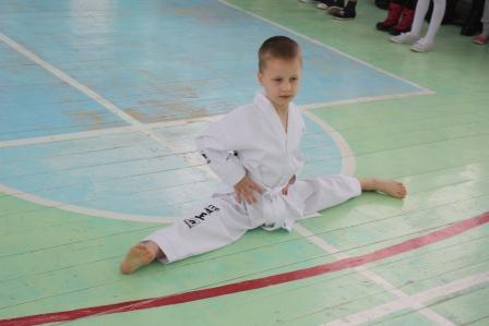 Тбилисские спортсмены приняли участие в «Фестивале единоборств»