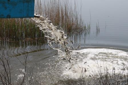 В Тбилисском районе зарыбляют водоемы