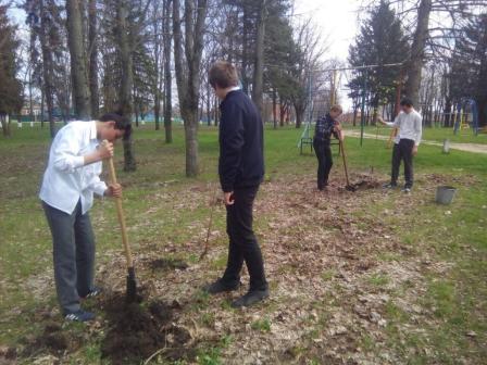 В Нововладимировской состоялась акция «Посади дерево»