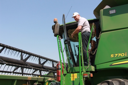 Рапс убирают в Тбилисском районе