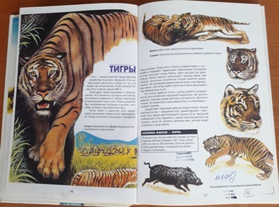 О Международном дне тигра