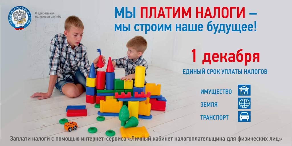 Срок уплаты имущественных налогов - 1 декабря