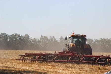 Глава Тбилисского района ознакомился с ходом уборки кубанского "золота