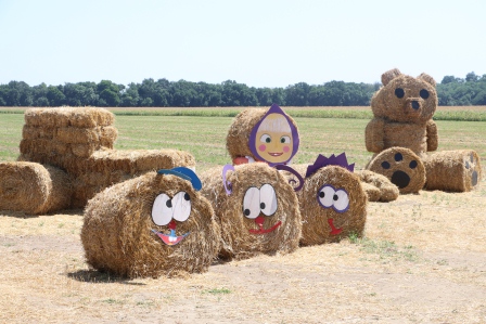 Пирамиды появились в Тбилисской