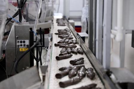 В Тбилисском районе заработала шоколадная фабрика