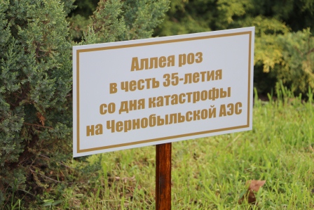 В Тбилисском районе почтили память жертв катастрофы на Чернобыльской АЭС