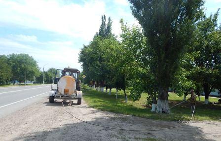 В Тбилисской косят траву и высаживают цветы