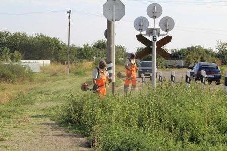 В Тбилисском поселении продолжают наводить порядок
