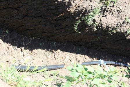 Евгений Ильин с рабочей поездкой посетил Алексее-Тенгинское поселение