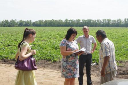 рейды с целью выявления неформально занятого населения