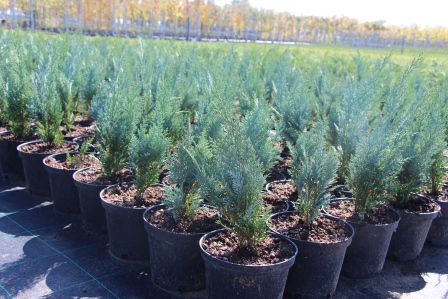 В Тбилисском районе реализован инвестпроект