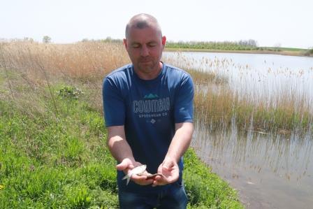 В Тбилисском районе зарыбляют водоемы