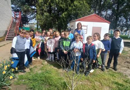 В Тбилисском районе проходит Всероссийская акция «Сад Памяти»