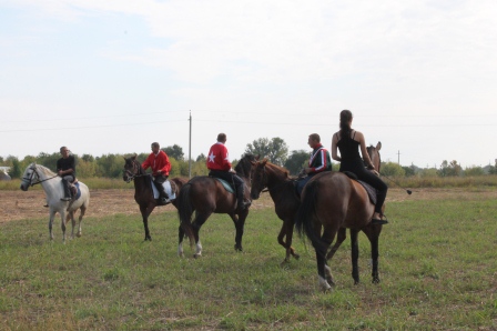 В Тбилисской прошел конно-спортивный фестиваль