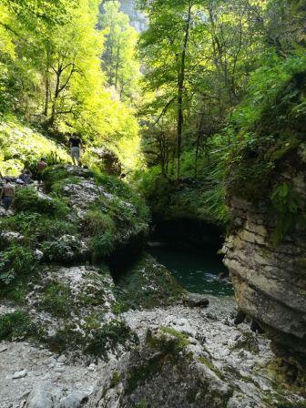 Тбилисские школьники побывали в двух многодневных походах