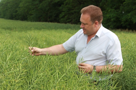 Глава района продолжает объезд полей